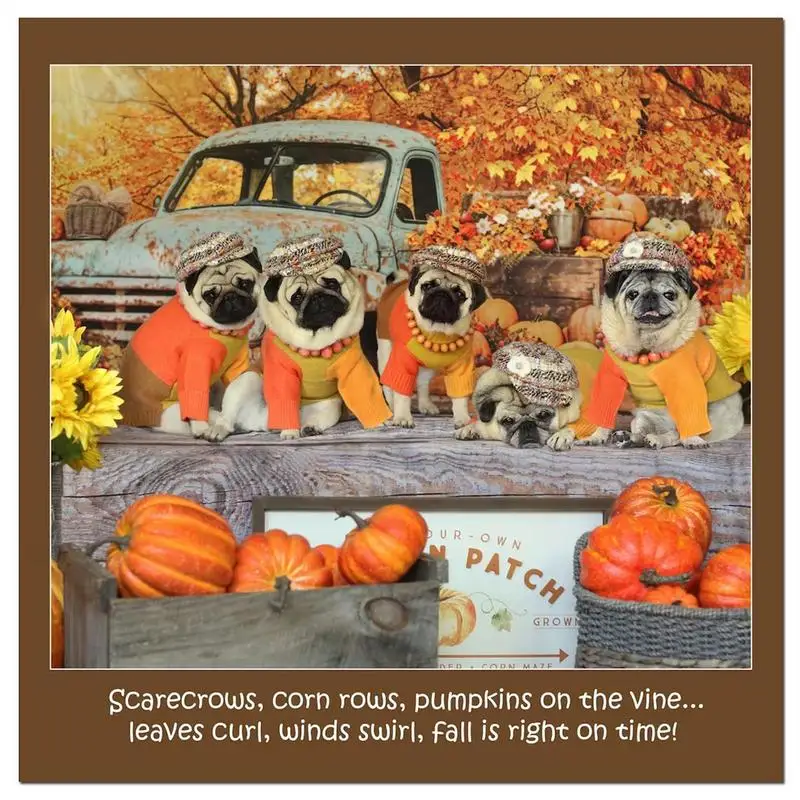 Calendario Pug 2024 calendario mensile da parete Hangable 2024 Cute Pug Images Animal Calendar Family Planner e Daily Organizer 2024 Wall