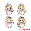 PE17146CT