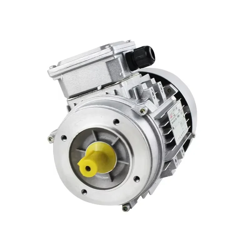 

YS7144 Three-phase Ac Motor, Aluminum Housing Electrical Motor 0.75KW