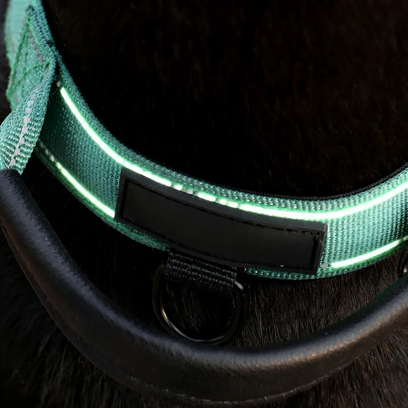 Collar táctico con correa para perro – Reflectante y acolchado - imagen 3