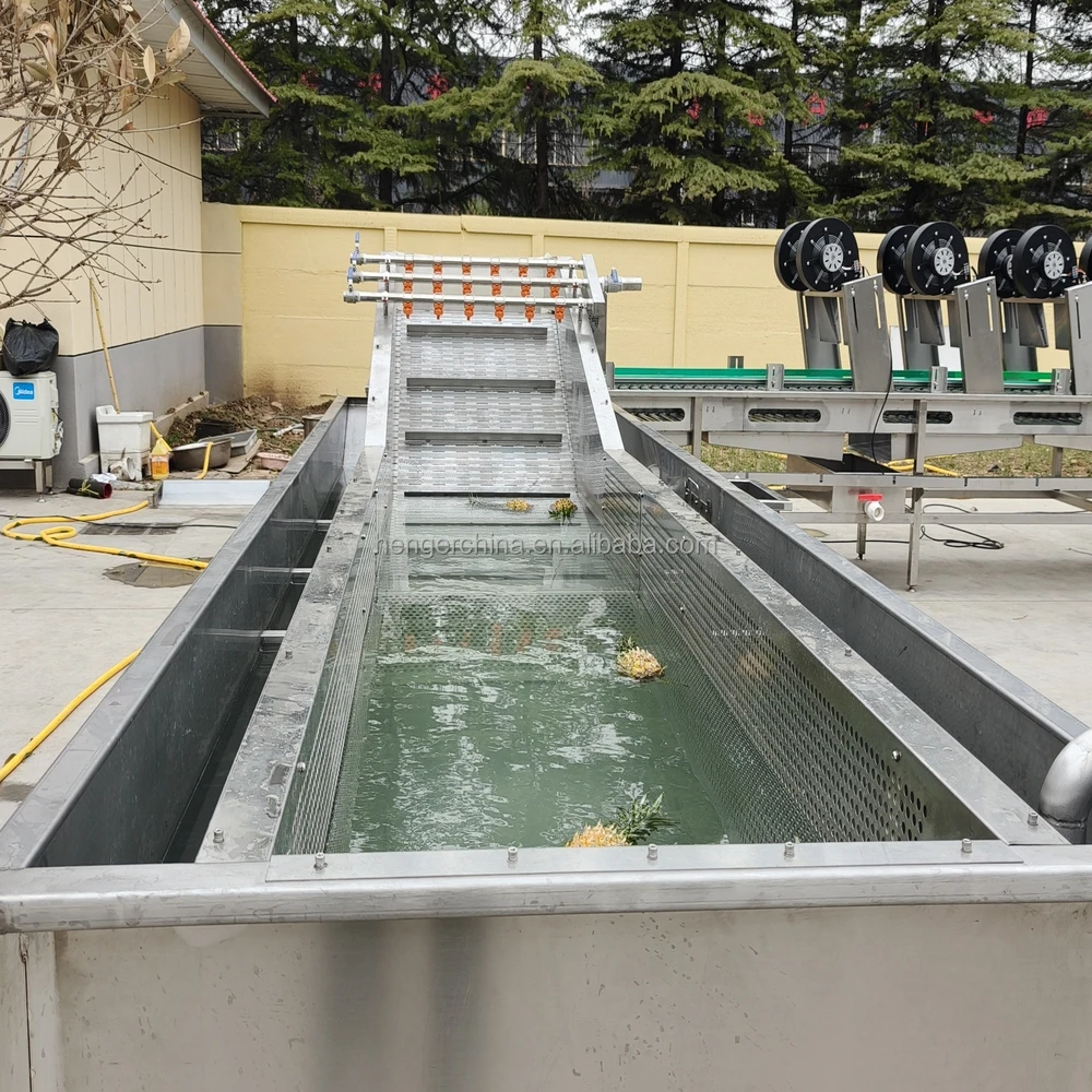 Pineapple Fruit Washing Machine Pineapple Sorting Processing Line Pineapple Cleaning Equipment