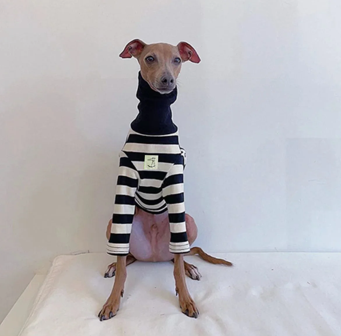 Italian Greyhound Clothes High Neck Striped Cotton Stretch Puppy Whippet Clothes Lingtons Medium Dog Autumn Pet Clothes