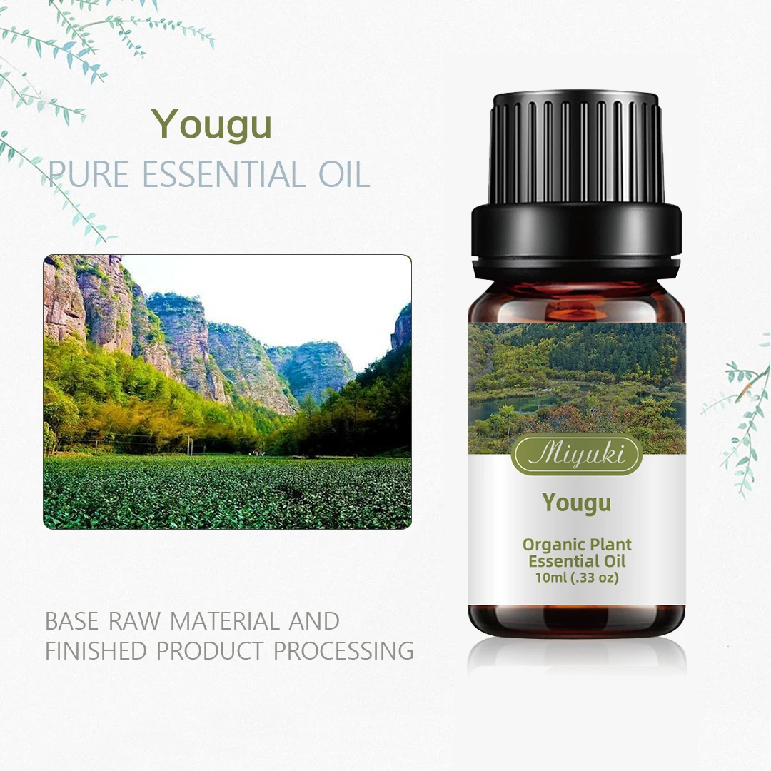 

Yougu Essential Oils For Humidifier Aromatic Diffuser Lavender Eucalyptus Rose Ginger Lemongrass Fragrance Oil Making Candles