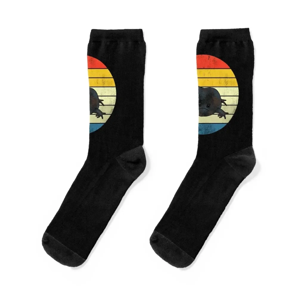 Rain Frog Retro Sunset Socks loose designer Socks For Women Men's