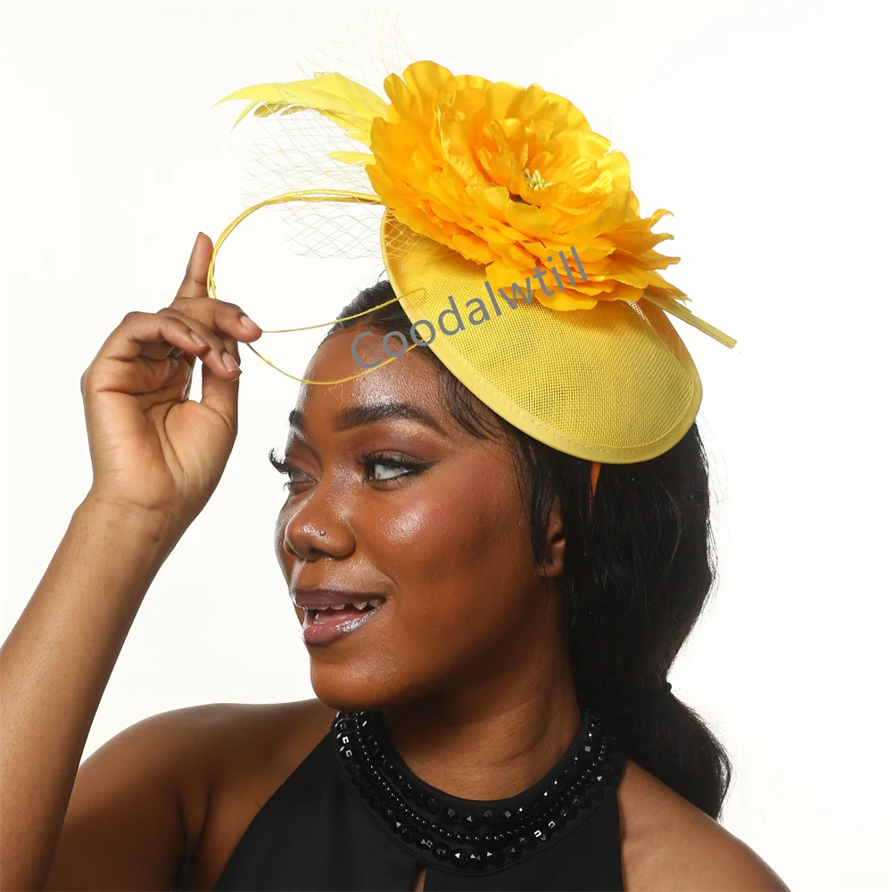 

Fashion Fascinator Women's Kentucky Derby Hat Veil Pillbox Hat Flower Tea Party Hat Feather Feather Headband Fascinators