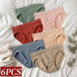 6Pcs/Set Women's Seamless Briefs Sports Underwear Female Underpants Low Rise Stretch Underwear Sexy Lingerie Soft Panty