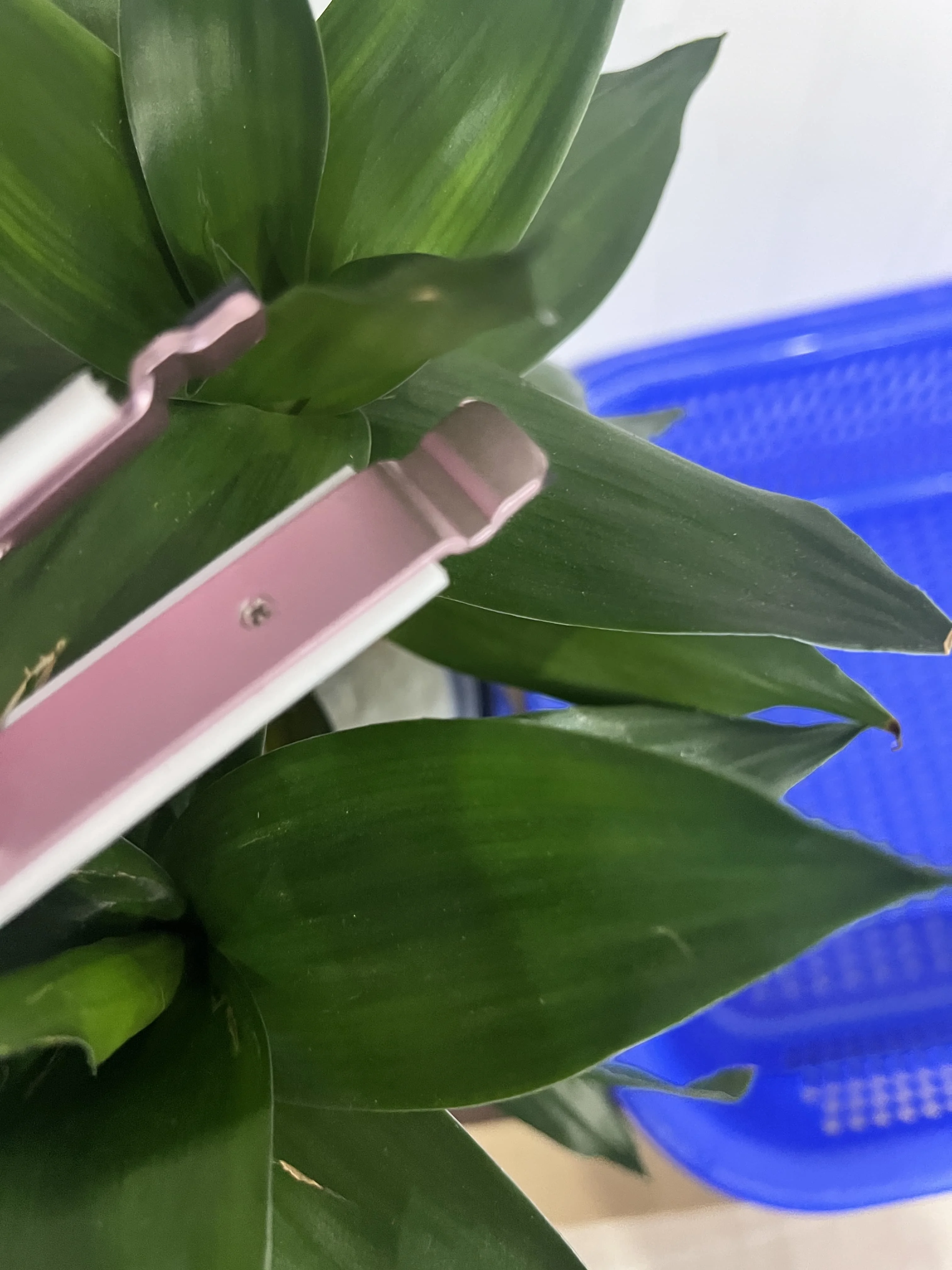 

1X OIL APPLICATION PAD for RICOH MP2554 MP3054 MP3554 MP4054 MP5054 MP6054 MP2555 MP3055 MP3555 MP4055 MP5055 MP6055