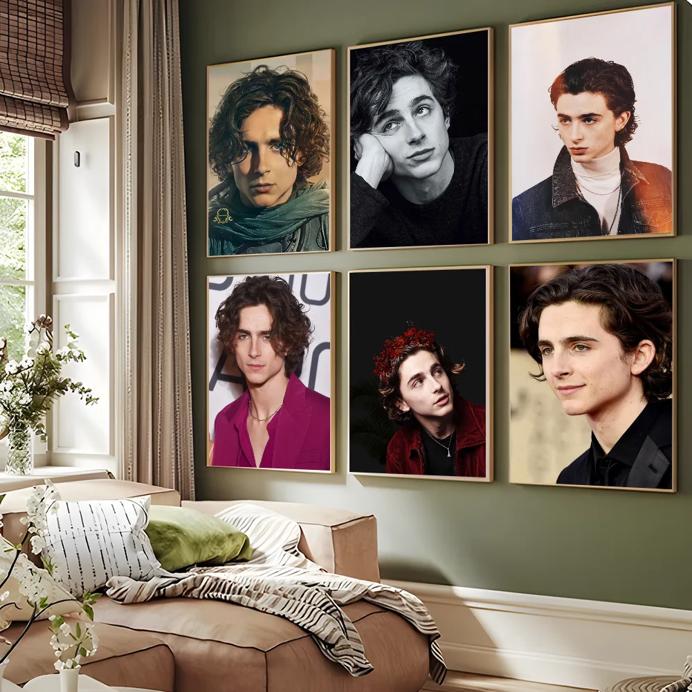 

Timothee Chalamet DIY Sticky Poster Vintage Room Bar Cafe Decor Home Decor