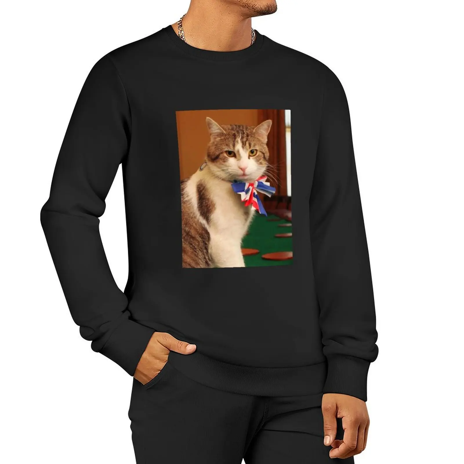 Aesthetic Larry The Cat Pullover Hoodie men's coat men's clothes korean autumn clothes tracksuit men's sweatshirt