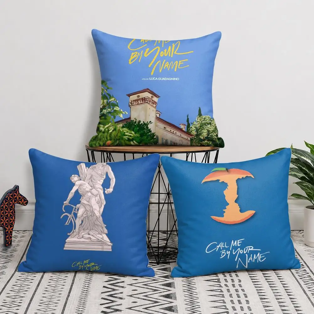 Movie C-Call Me By Your Name Cushion Cover Double-Sided Plush Sofa Cushion Covers Organic Breathable Invisible Zipper