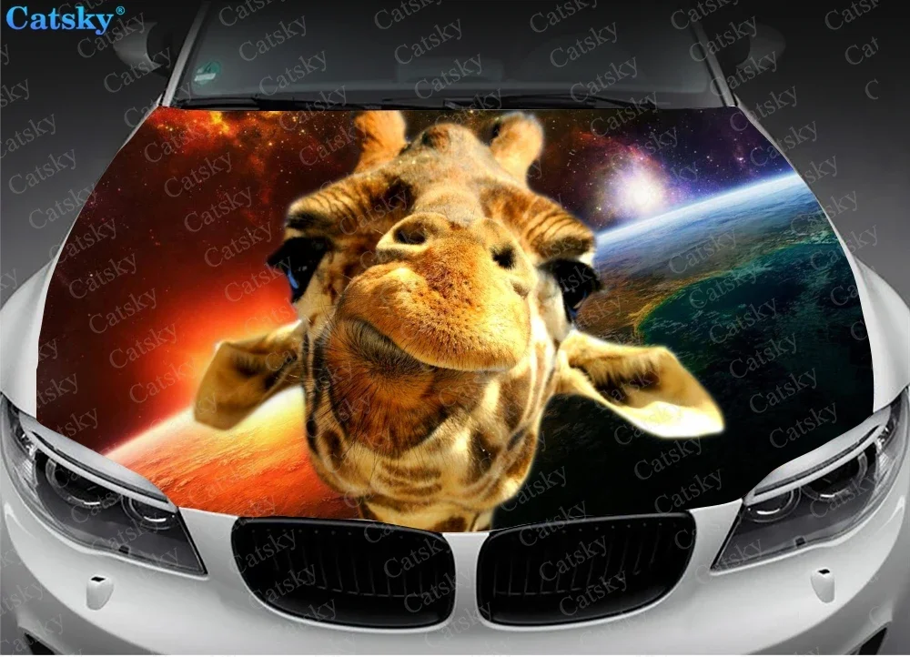 

Страусиное животное, автомобильная наклейка, графическая виниловая наклейка, крышка, графическая посылка, двигатель, индивидуальный дизайн, сделай сам, модификация капота, наклейка