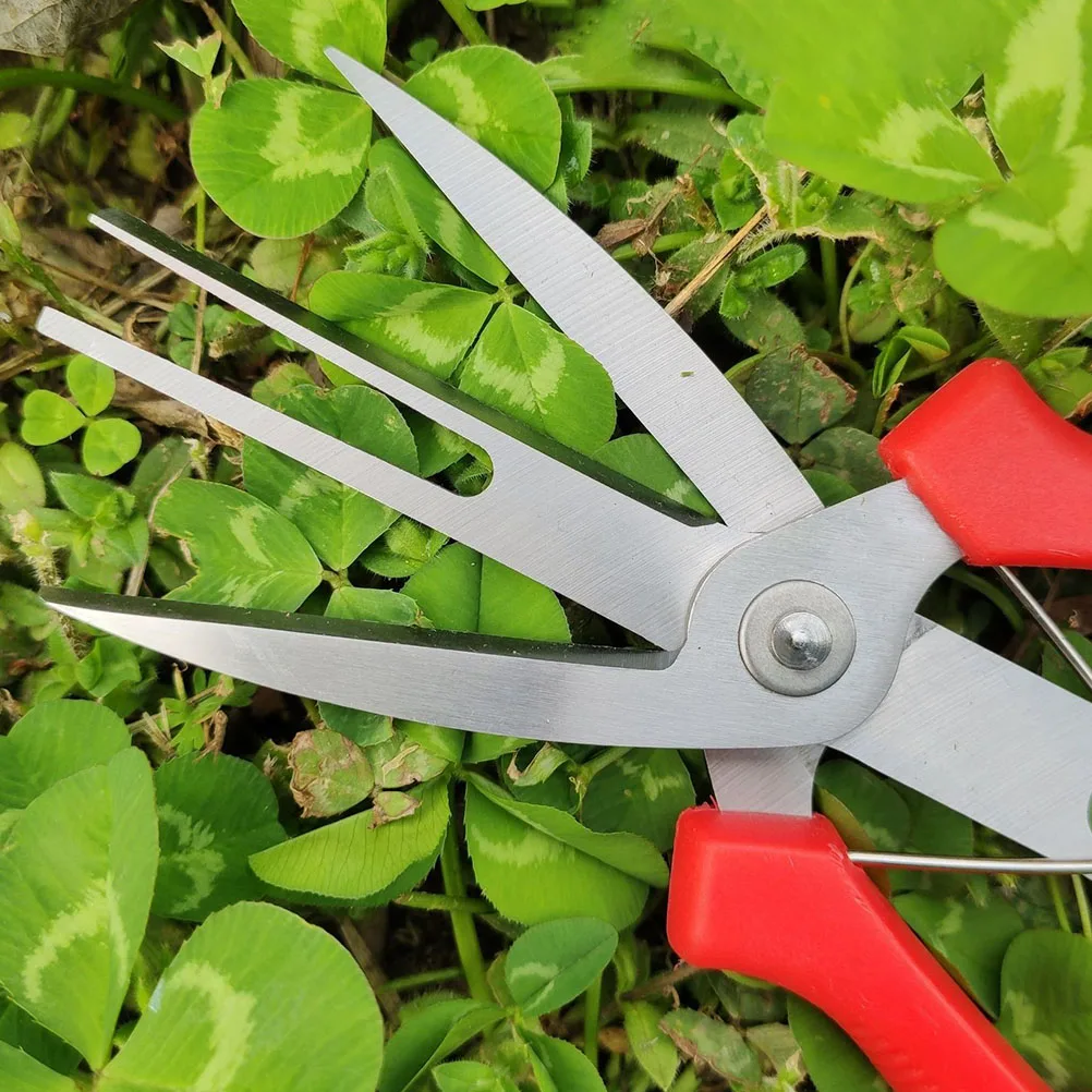 

Fruit and Vegetable Scissors Gardening Bonsai Tools Agricultural Thin Supplies Double Knife Stainless Steel