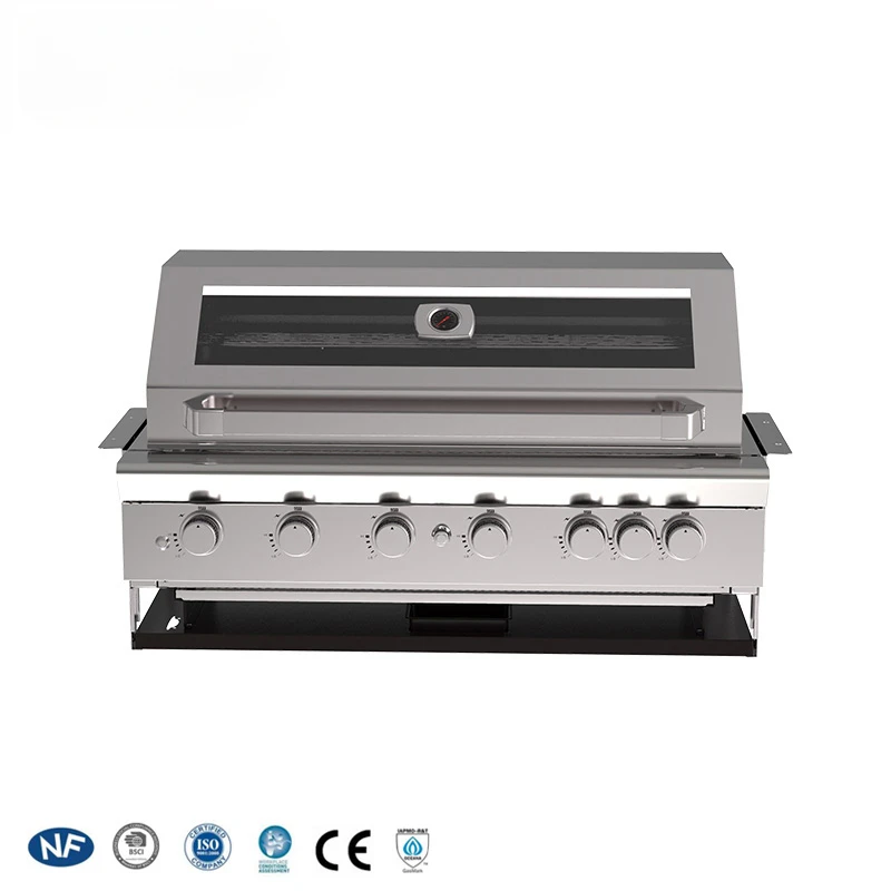 Automatic Ignition 6 Burners Gas Built-In BBQ Grills Stainless Steel Barbecue Grill Body