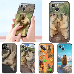 Marmot Luxe Telefoon Case Voor Apple iPhone 16 11 15 14 Pro MAX 12 13 7 8 Plus X XR XS SE Siliconen Zwarte Cover