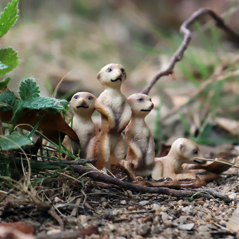Oenux Simulation Neue Wilde Tierfiguren Stehende Wüsten-Meerkatze Otter Nutria Modell Actionfiguren Kinder-Lernspielzeug Geschenk – Detail 21