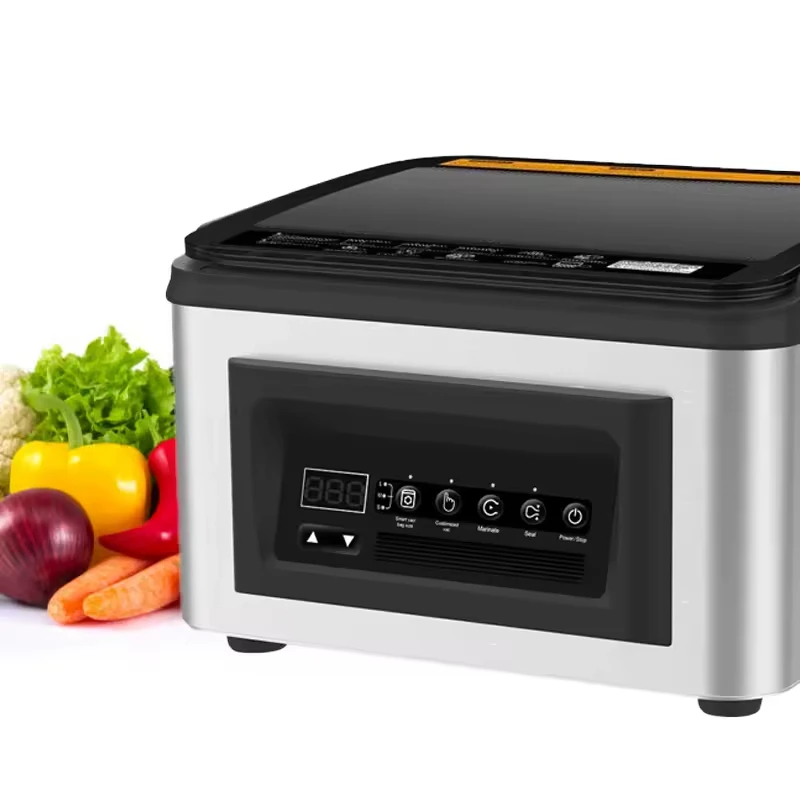 

C1 220V 110V Double Vacuum Pump Fruit Tea Leave Bag Vacuum Packing Machine Vegetable Dry Fish Electronic Vacuum Sealer