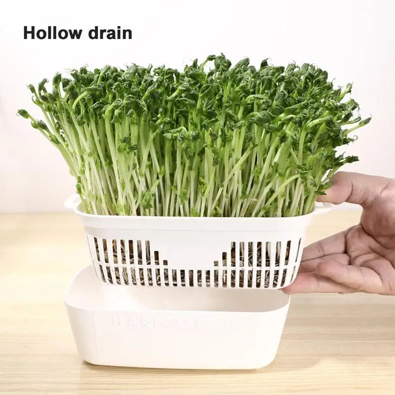 Sprouting Tray Double Layer Pea Mung BeanPeanut Wheat Hydroponic Sprout Plate Seedling Sprouter Cat Grass Soilless Planting Pot