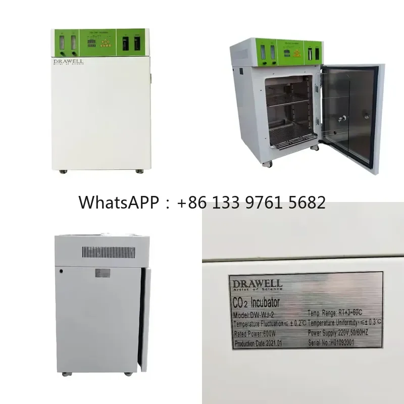 WSQ CO2 Cell Culture Culturing Incubator Air Jacket Low Temperature CO2 Incubator for Lab