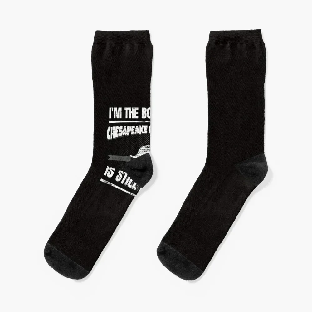 

Chesapeake Bay Retriever Socks hiphop Run Crossfit winter thermal Socks For Men Women's