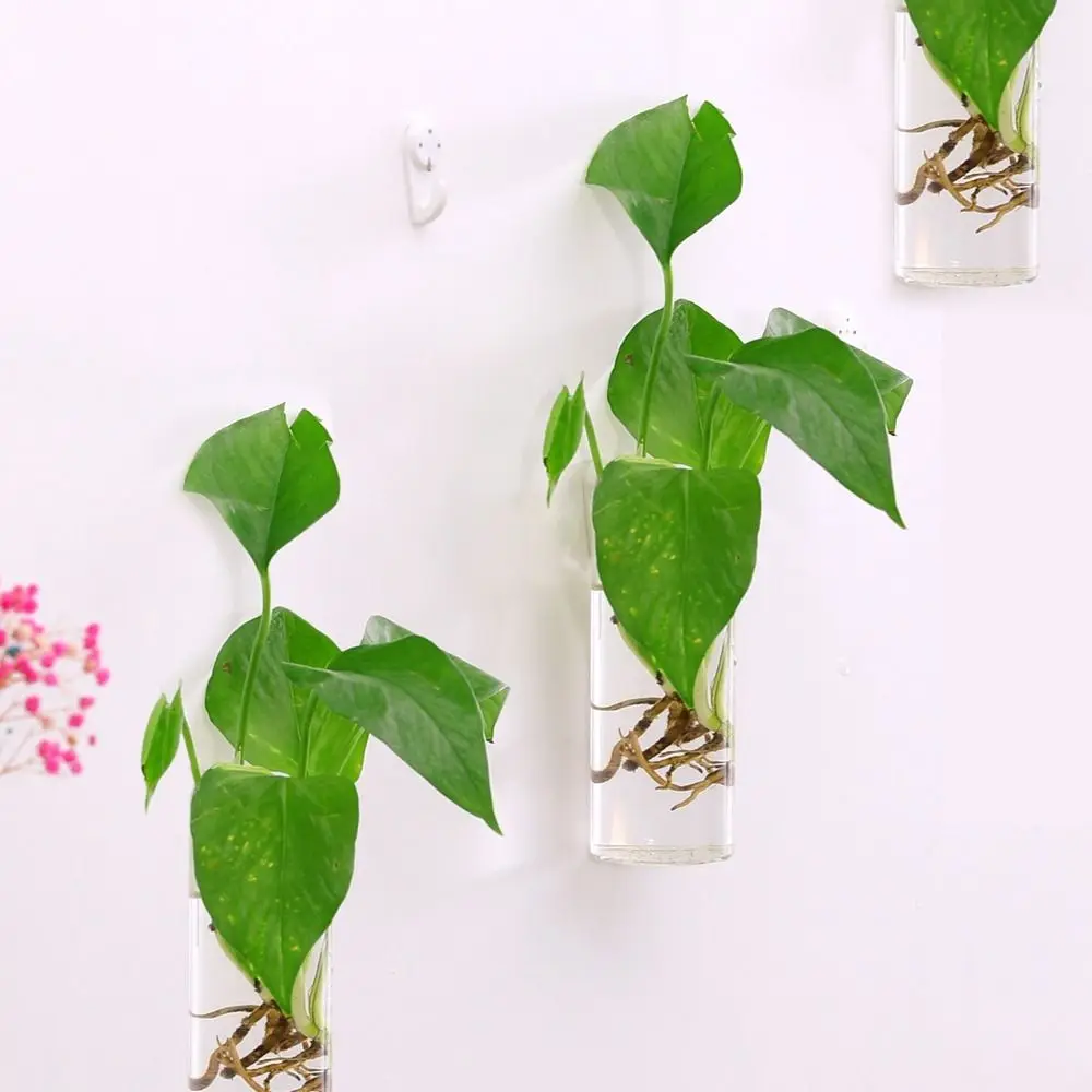 النباتات غير النظامية شكل ديكورات المنزل خزان الأسماك تنقية منزل حاوية النبات زهرة زهرية المائية زهرية اناء للزهور #3