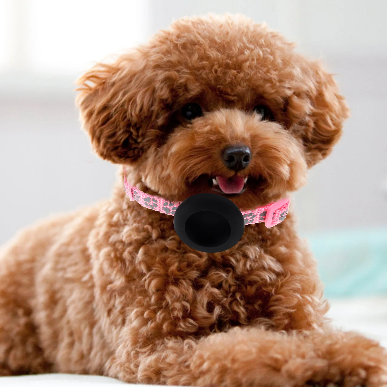 

Adjustable Cat Collar Pet Tracer Waterproof Bell Reflective Comfortable Nylon Small Dog Kitten Anti-Lost Tracker for Outdoor