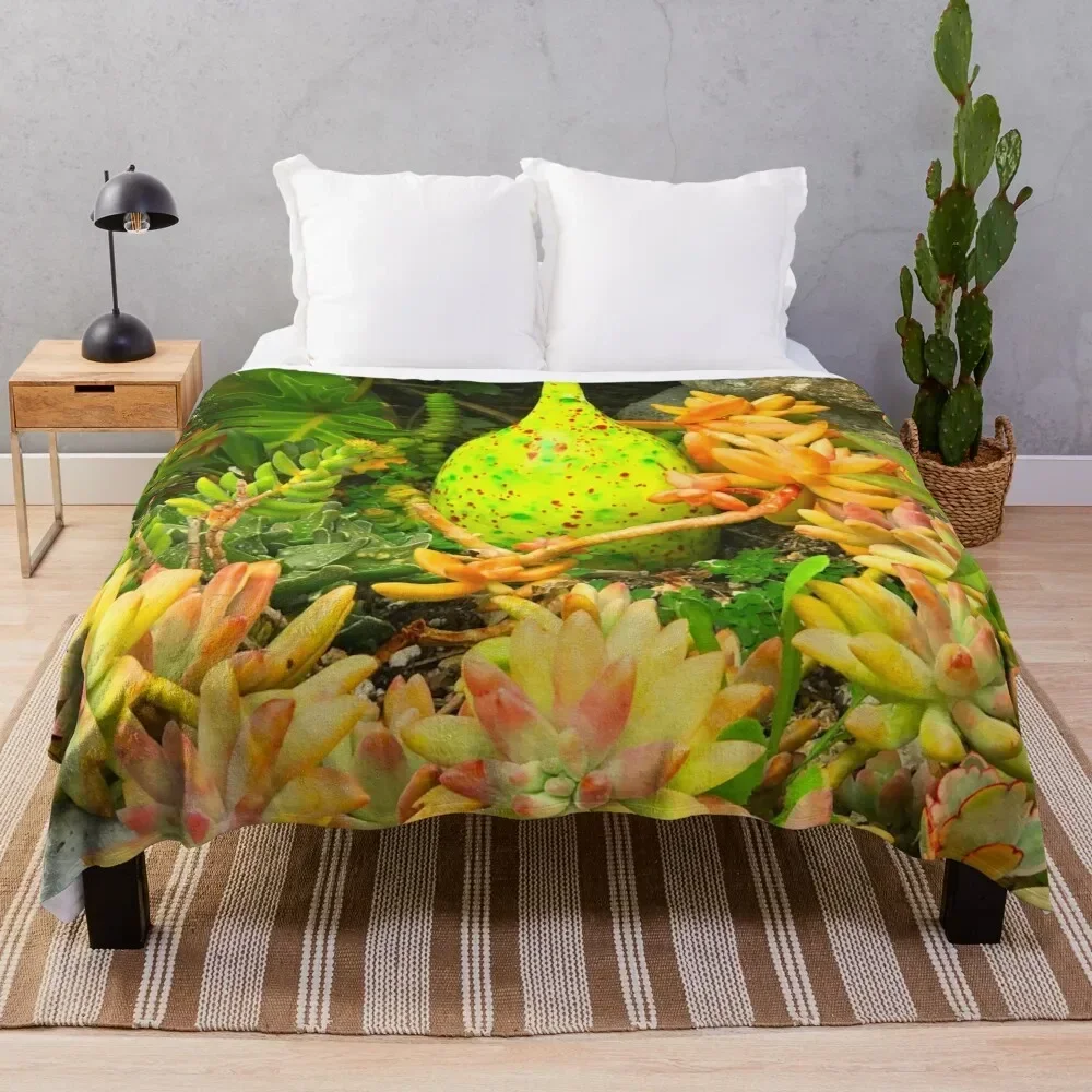 

Contemporary, Colorful Succulents in Vintage Clay Pot Art Photo Throw Blanket Color Fast Cozy Throw Blanket