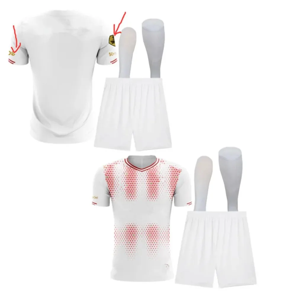 decoraties ok26-27 psves witte kit ok26-27 psvEindhovenes kit 12-17 dagen. Het zal in uw land aankomen - afbeelding 2
