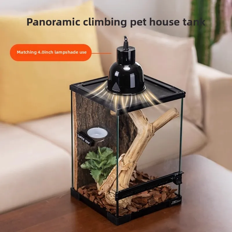 الزواحف البيئية المناظر الطبيعية خزان التغذية سحلية قصر حراسة القرون الضفدع مجموعة عالمية #3