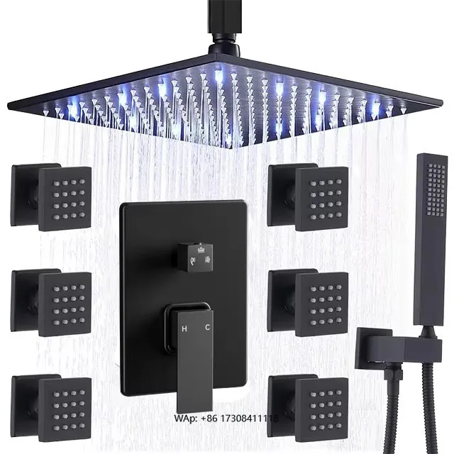 

Integrated Retractable Shower Head Set Wall Mounted Rain Shower Handheld Filtered Shower Head Faucet Set