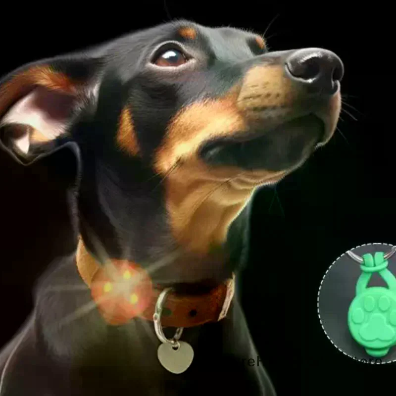 실리콘 애완견/고양이 야간 LED 손전등 발광 펜던트, - Tech Dog Accessories 리뷰 및 가격
