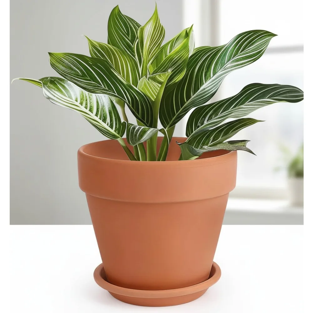 

10 Inch Terracotta Pot with Saucer - Breathable Ceramic Planter with Drainage Hole for Indoor Outdoor Plants