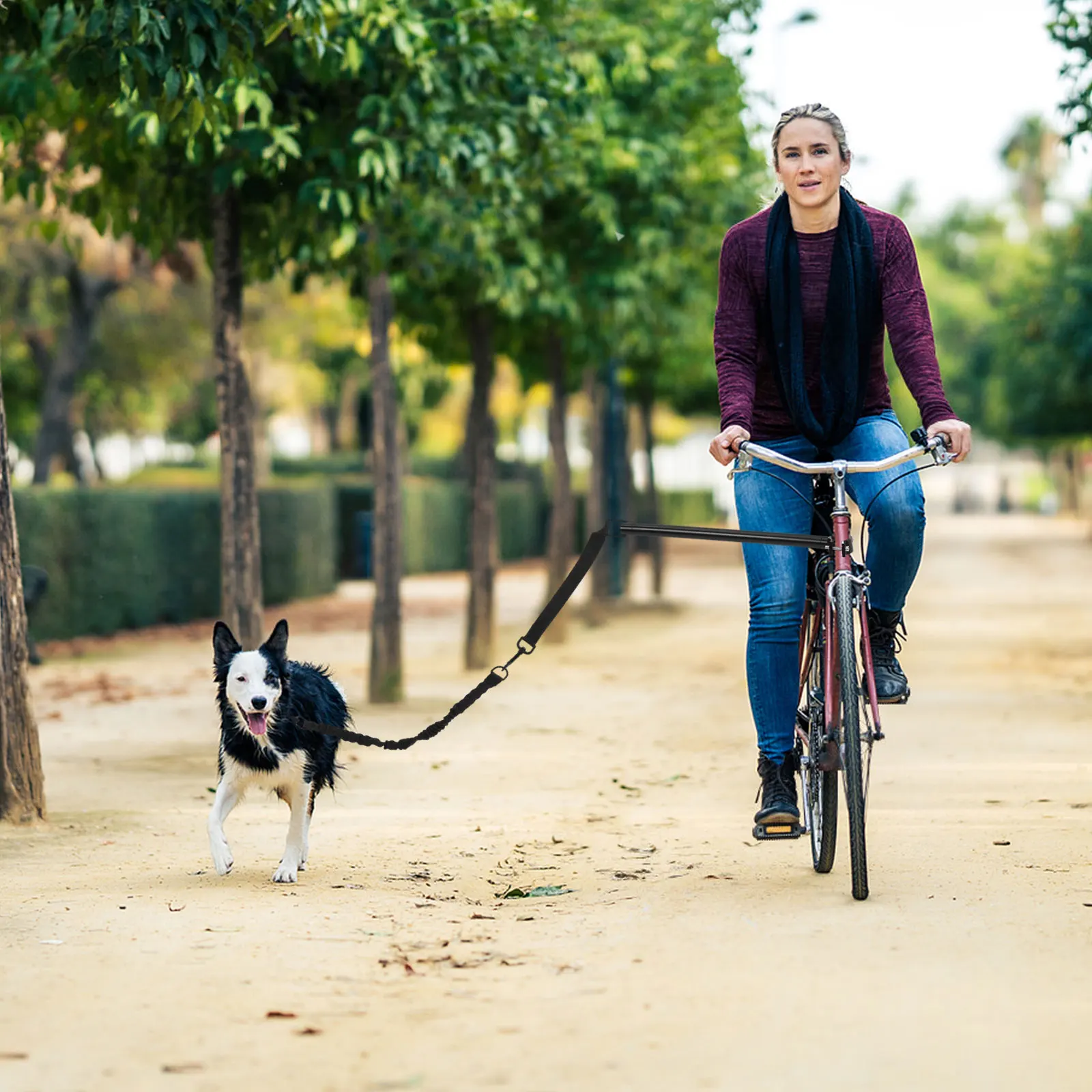 

Bicycle Dog Walker Bike Pet Pulling Walking Harness for Dogs Durable Nylon Suitable Small Medium Dogs Outdoor Use Long Leash