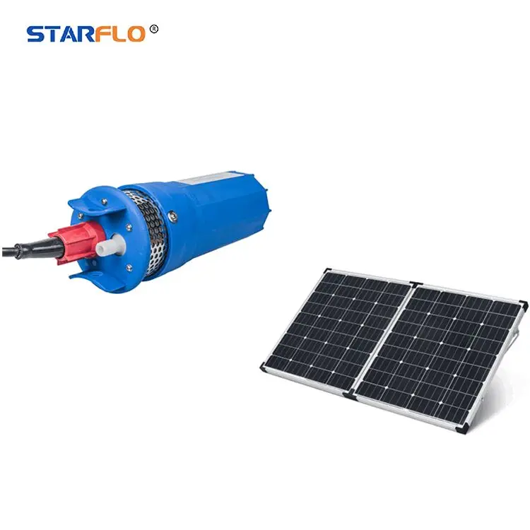 6LPM 24v Agriculture Irrigation Ponds Solar Panel Manufacturer Submersible Mini Solar Deep Well Water Pump