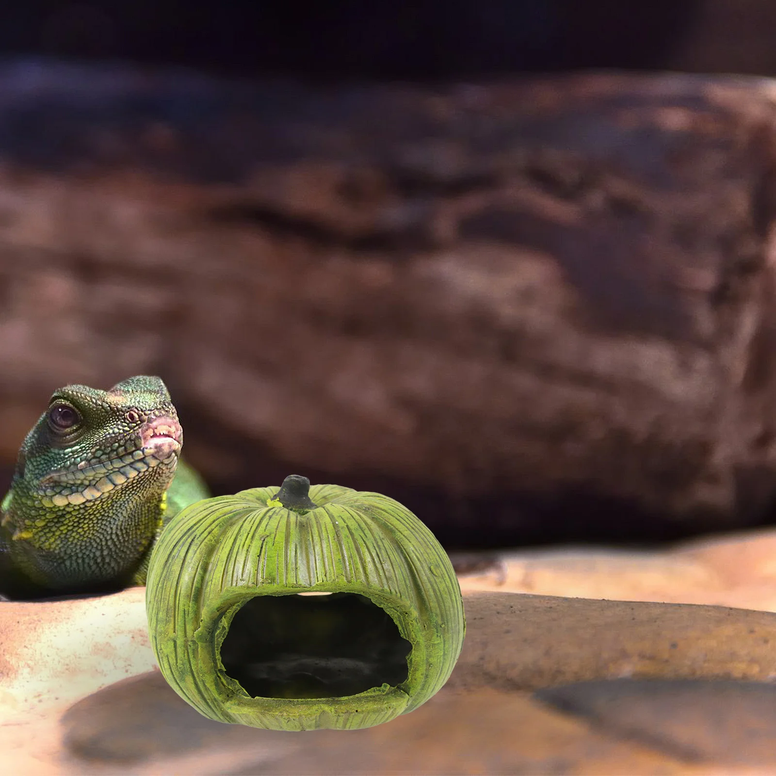 

Pumpkin Shape Resin Reptile Hideout Cave For Lizard Snake Hermit Crab Terrarium Shelter Hiding Place Tank Decor
