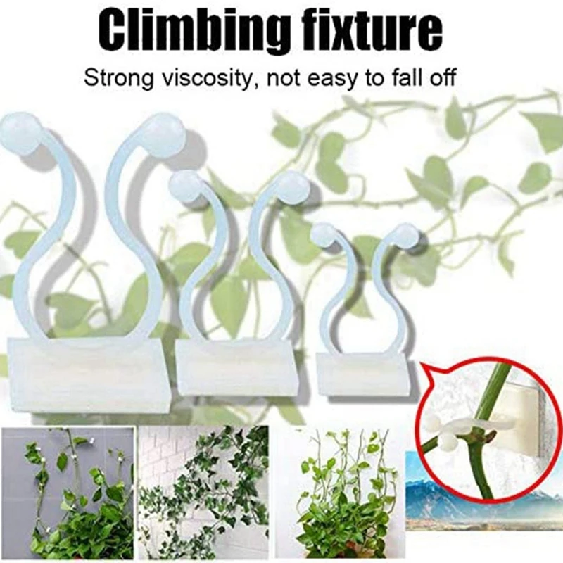 50PCS Invisible Wall Vines Fixture , Plant Climbing Wall Fixture Clips, For Home Garden Wall Sticky Hook Middle