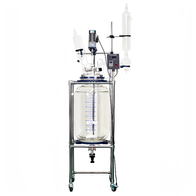 

Industrial Laboratory Scale 10L Double Layer Jacketed Glass Bioreactor Kettle with Options for 80L 100L 150L 200L Reactions