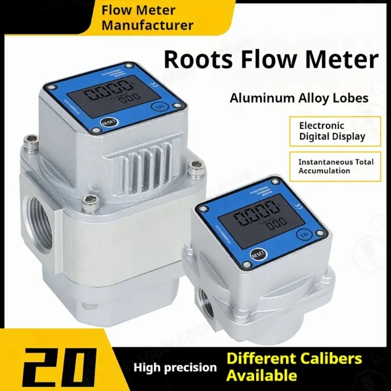 High Accuracy Digital Roots Gas Flow Meter LCD Display Instantaneous Flow DN15 DN25 For LPG Natural Gas Compressed Gas