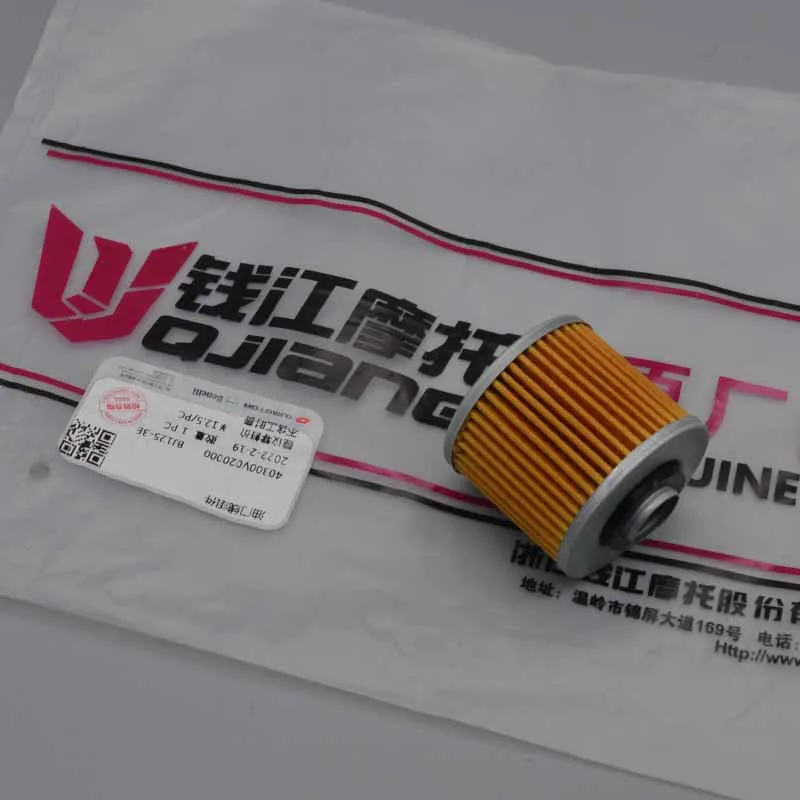 250cc Motorcycle engine oil filter cleaner for QJIANG QJ250-J QJ250-L keeway blackster 250 superlight