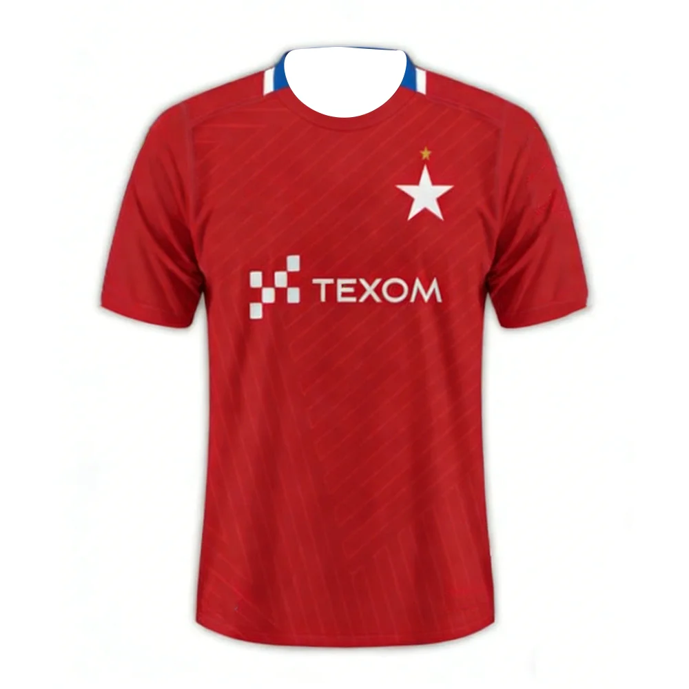 Wisła Kraków 2026 Team Short Sleeved Shirt Breathable Quick Drying Sports T-Shirt for Polish League Fans New Model