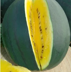 12 최고의 판매 야채 씨앗 - №8