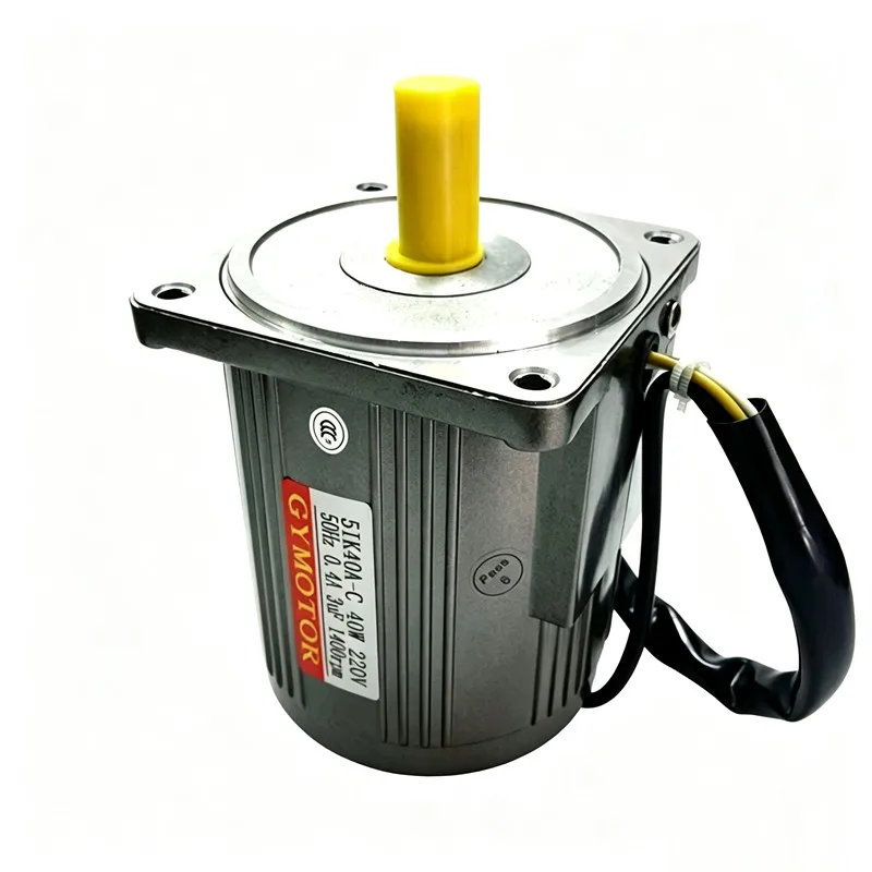 AC 110V 220V 380V 40W 1400rpm Single/Three-Phase Flange Mount Fixed/Variable Speed High Speed Constant/Adjustable AC Motor