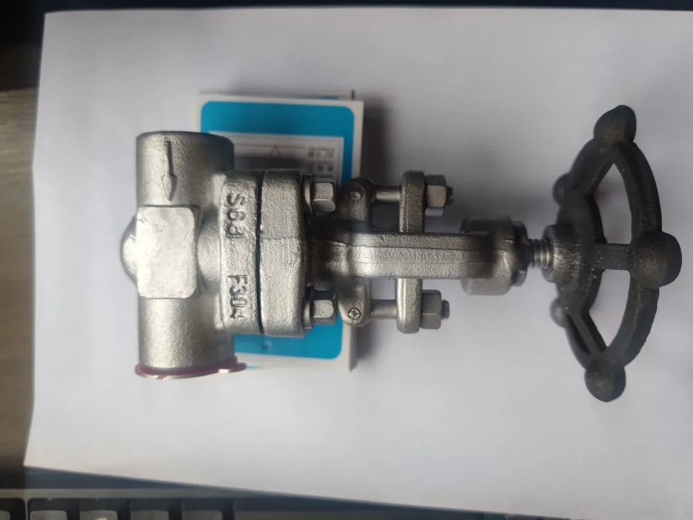 Forged Stainless Steel Socket Welding, Threaded Gate Valve Stop Valve Z/J61W-800LB F304 F316