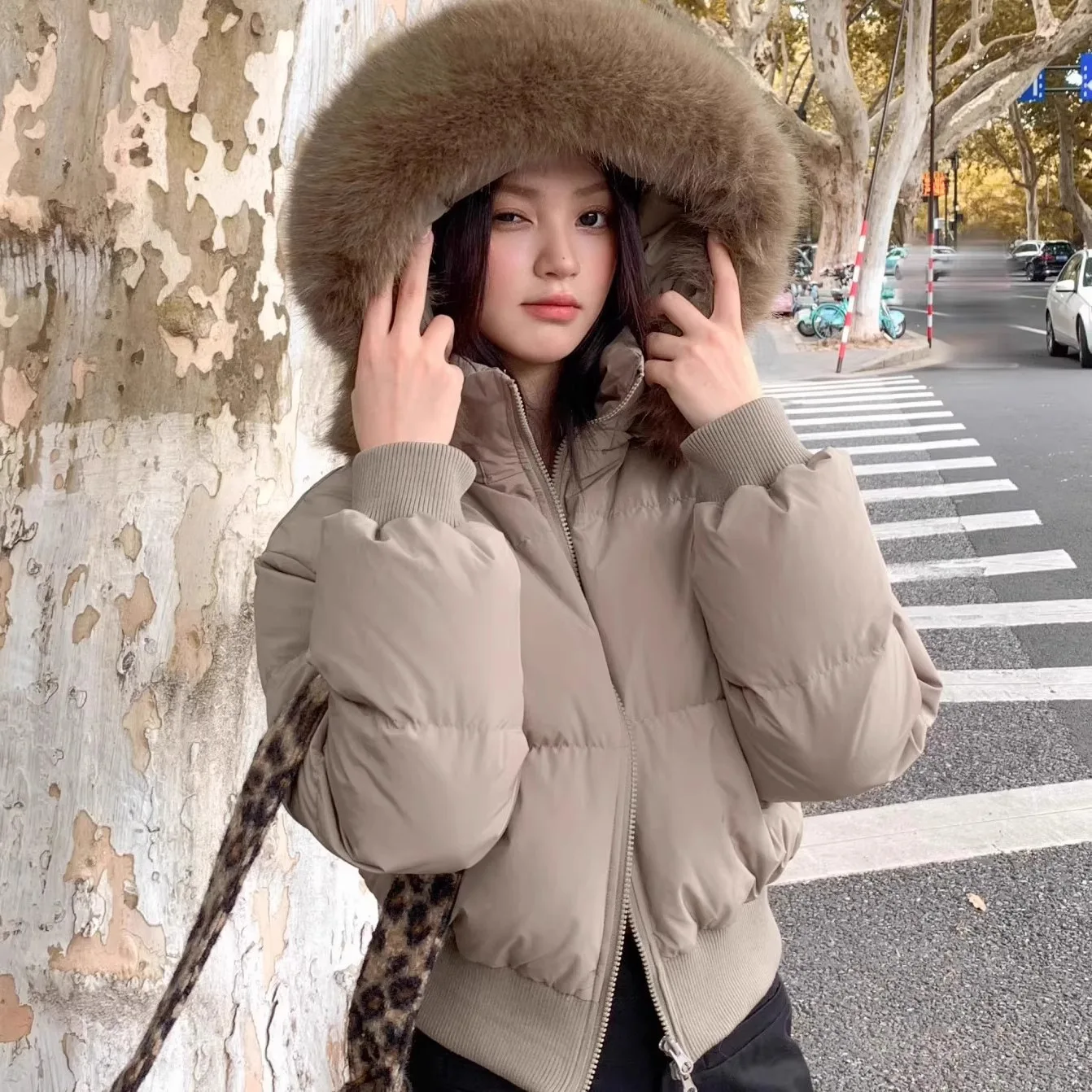 シンプルなファーカラーフード付きショートパーカーコート、ファッショナブルなストリートジッパーフード付きショートコットン服、冬服、女性用ジャケット