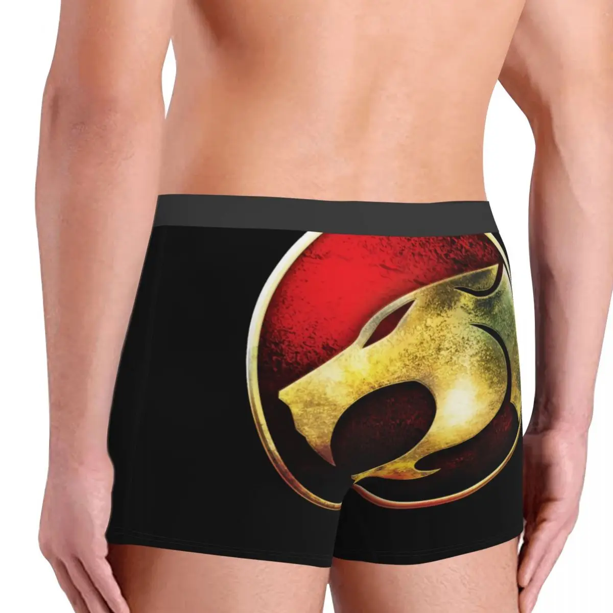 Оригинальные брифы, брифы, нижнее белье, Новинка