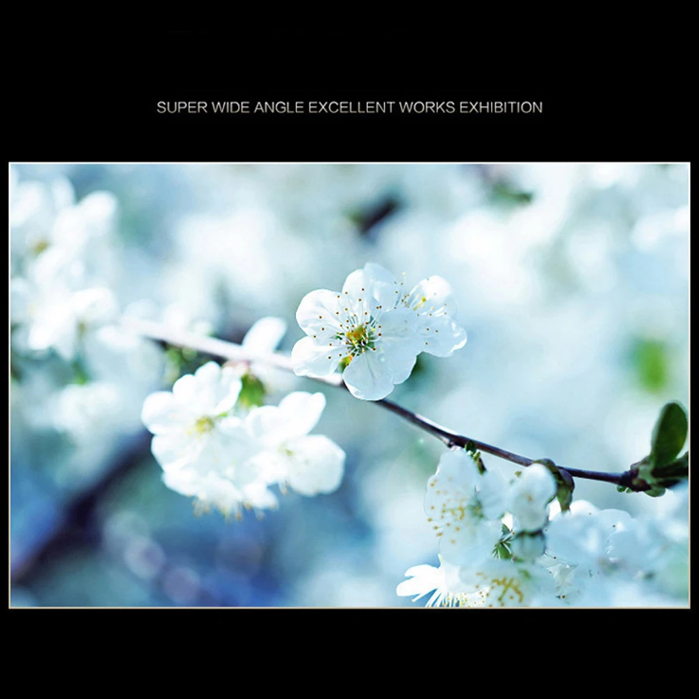 2 in 1 Lens Universal Clip Phone Lens Professional 37mm Mobile Phone Lens HD Lens Professional 0.45X 49UV