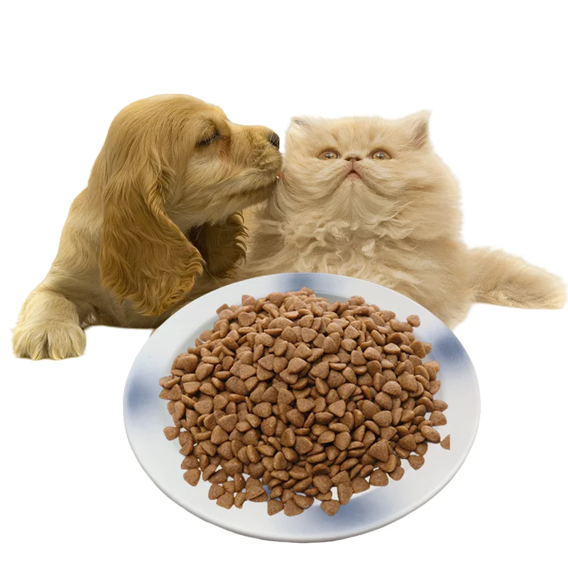 

,cat Plate,ceramic,kitty ,cat Water Bowl,kitty Feed Bowls Dog Food Bowl,pet Feeding Puppy Feeder Pet Drinking Bowls