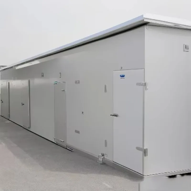 Customized Freezing Room Walk in Cooler Unit Commercial Refrigeration Cool Cold Room