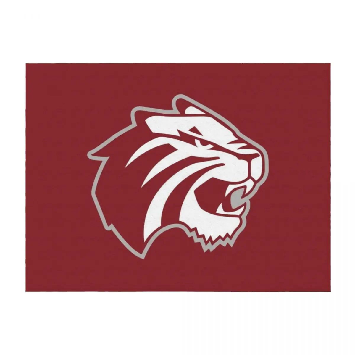 

Trinity University Throw Blanket Retros For Decorative Sofa Luxury Thicken Luxury St Blankets