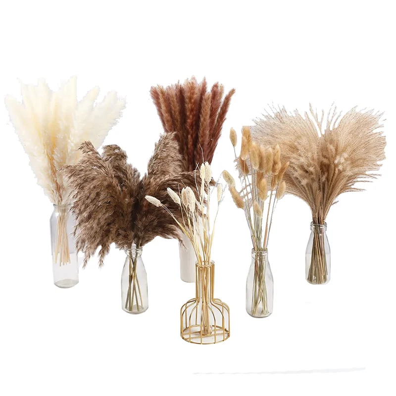 100Pcs Dried Pampas Grass Decor,Natural Home Decor, Phragmites Dried Flowers, Fluffy Stem Bouquet for Home Wedding Boho