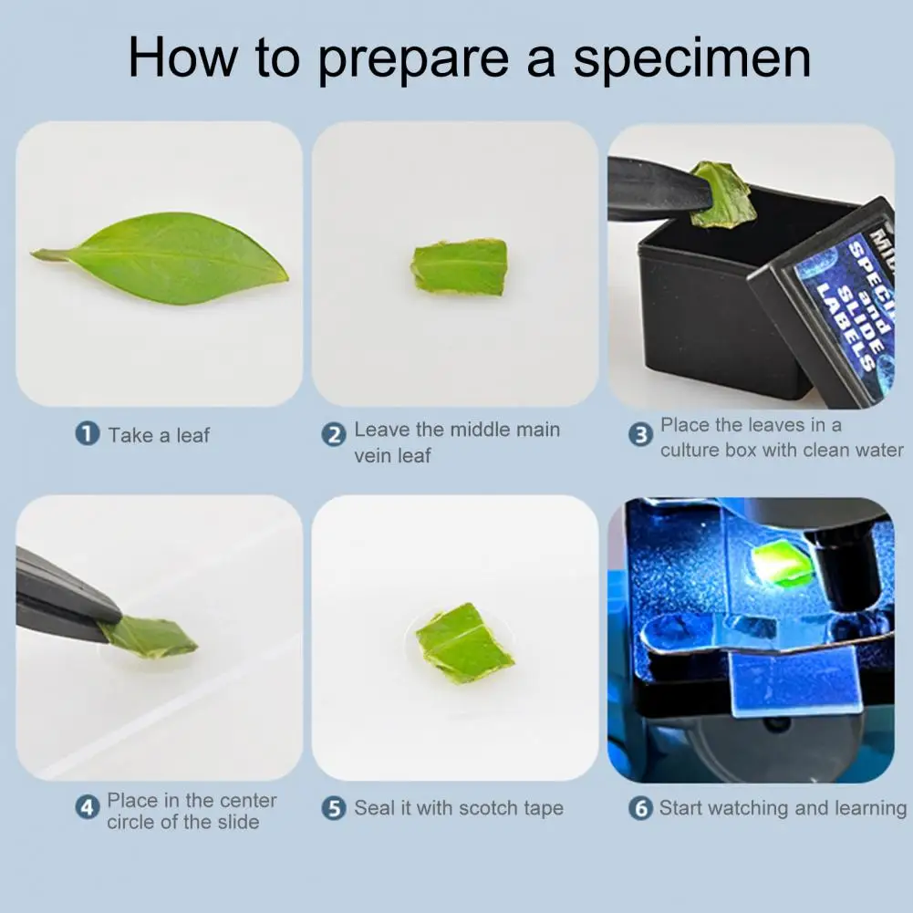 กล้องจุลทรรศน์น้ําหนักเบาการศึกษาเด็กกล้องจุลทรรศน์ของเล่น 3 เลนส์สําหรับเด็กวัยหัดเดิน 100/600/1200x การขยายเลนส์ Biological